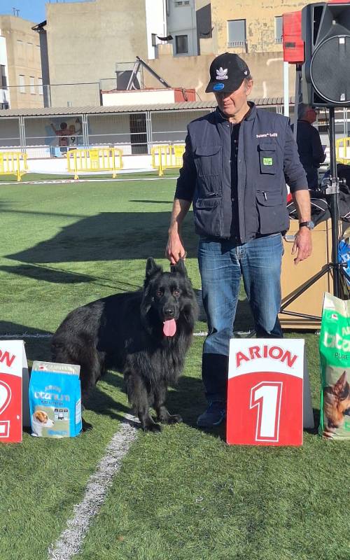 ramvic 2025 1